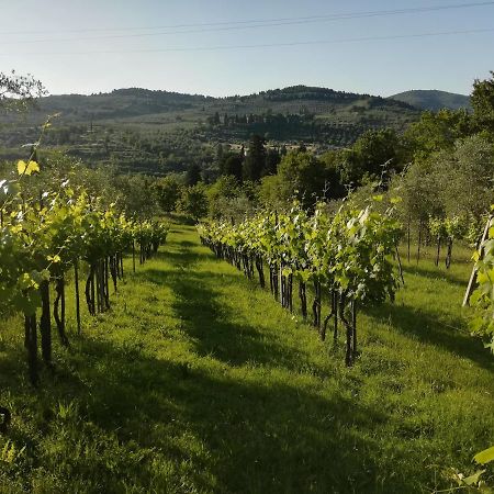 Villa Storica Di Majano Bagno a Ripoli Exteriér fotografie