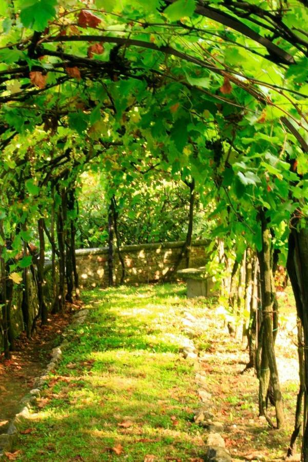 Villa Storica Di Majano Bagno a Ripoli Exteriér fotografie