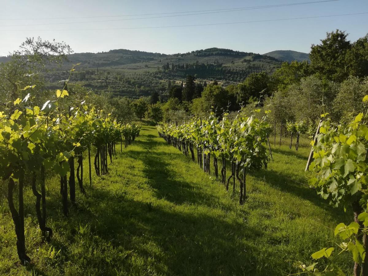 Villa Storica Di Majano Bagno a Ripoli Exteriér fotografie